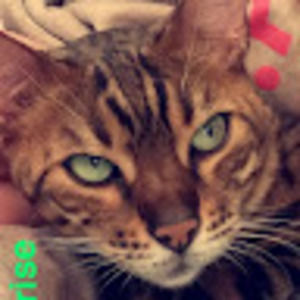 Meet your Posher, Irma